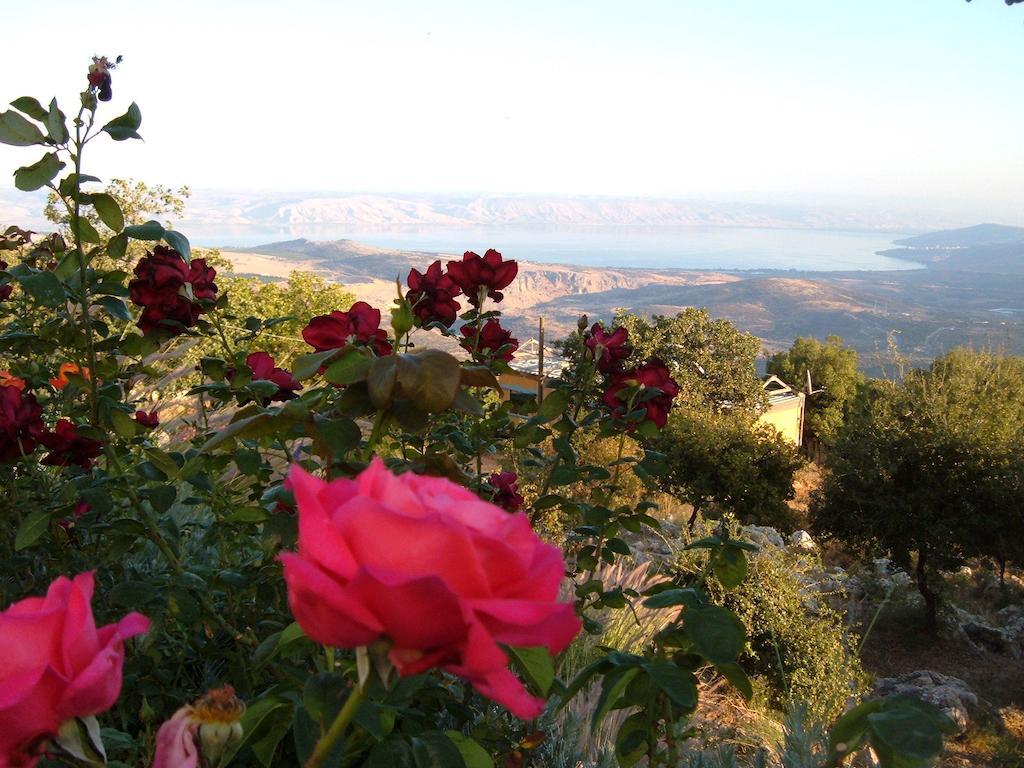 Rose Garden - Gan Vradim Villa Amirim Exterior foto